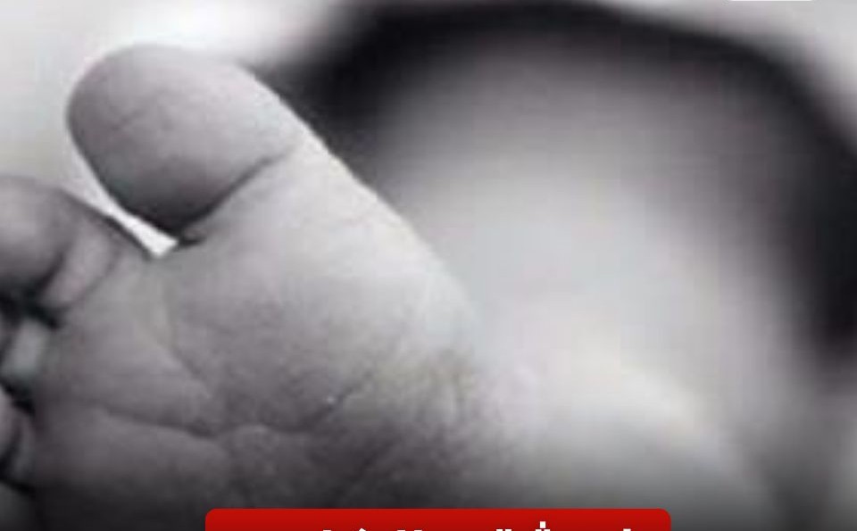 النيابة تطالب بالتحريات حول واقعة العثور على جثة طفل 3 سنوات في القمامة بالإسكندرية